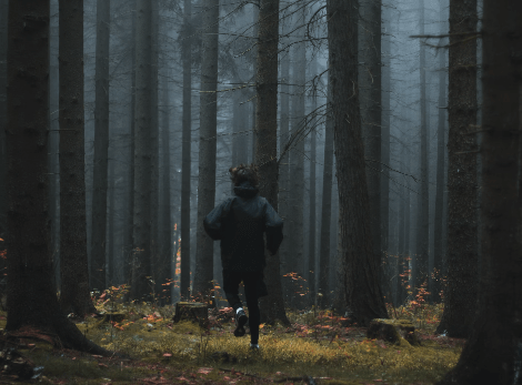 쫓기는 꿈 해몽 풀이