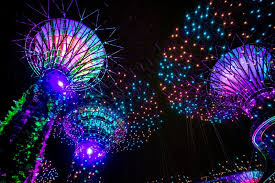 마리나 베이 ─ 돔 식물원 + 야간 슈퍼트리 쇼 (출처:네비버블로그/연합뉴스/쿨룩)