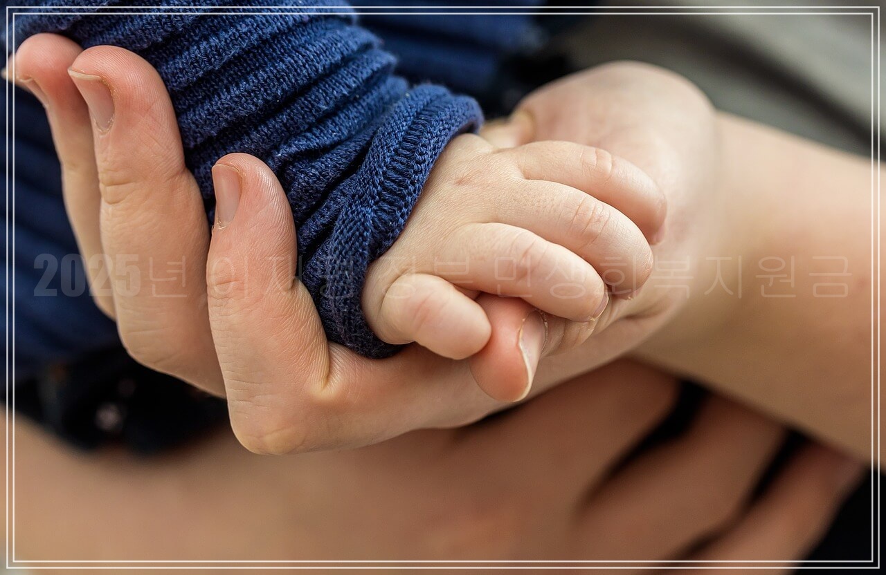 2025년 이재명 정부 민생회복지원금 최신 정보 총정리,