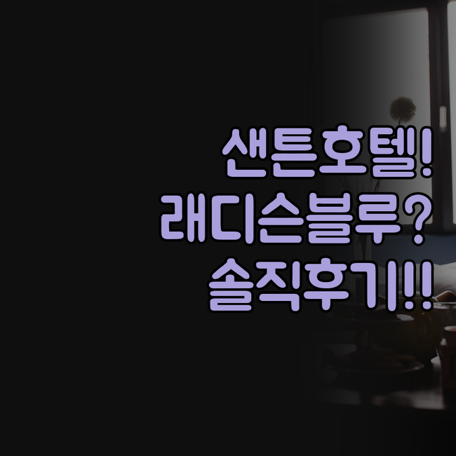 요하네스버그 샌튼 호텔 솔직 후기 @..