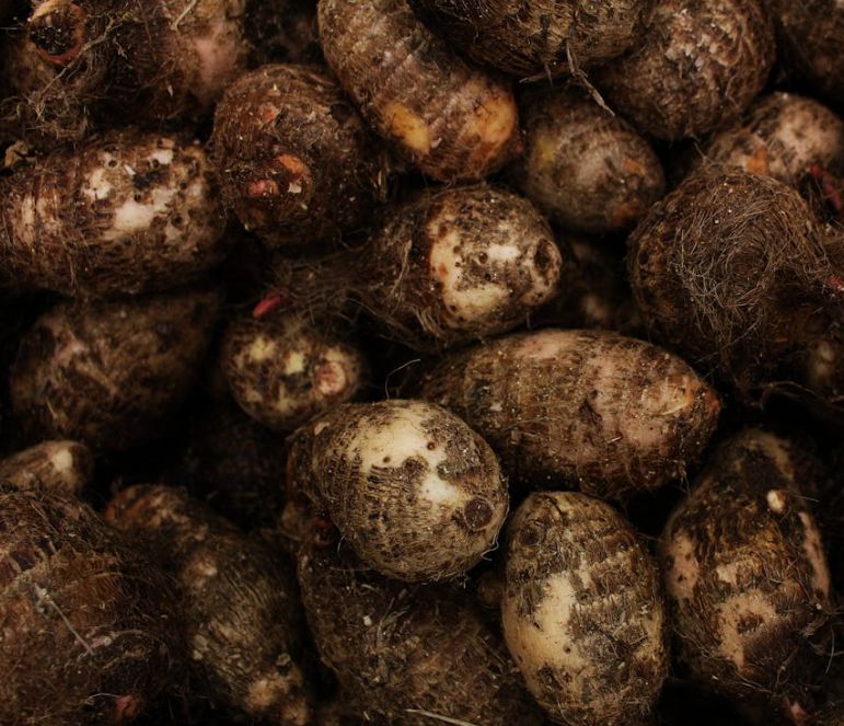 식도에 좋은 음식 10 가지