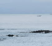 제주도 비행기표 싸게 사는법