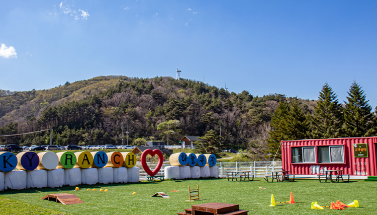 대관령 하늘목장