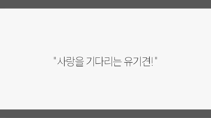 유기견보호소 믿욆 분양받아요 장성유기견보호소
