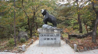 2025/2026 알펜시아 리조트 스키장 시즌권 완벽 가이드