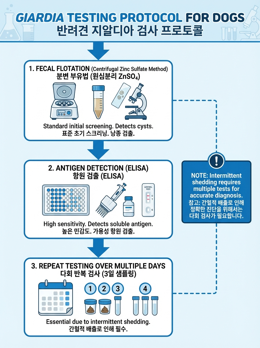 지아르디아 검사 흐름(원심부유법, 항원검사 병용, 여러 날 반복 검사 가능)