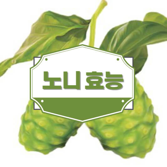 노니