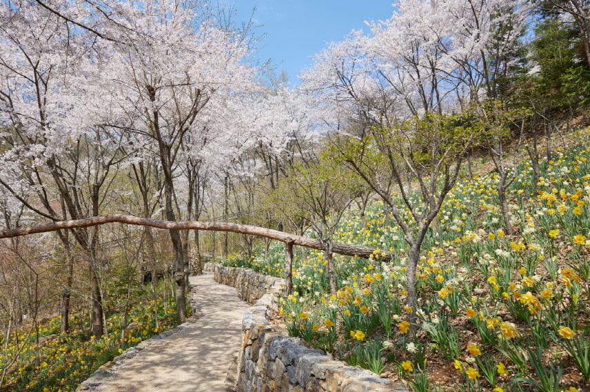 화담숲 예약 꿀팁