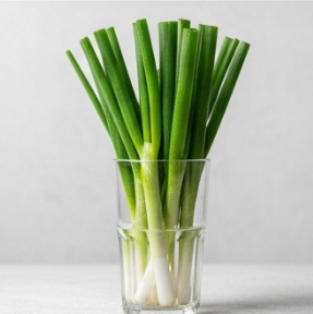 김장 쪽파 심는 시기