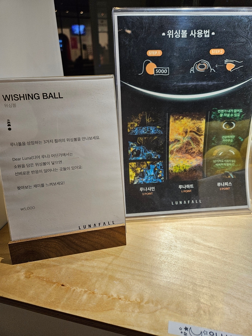 루나폴 워싱볼 사용법