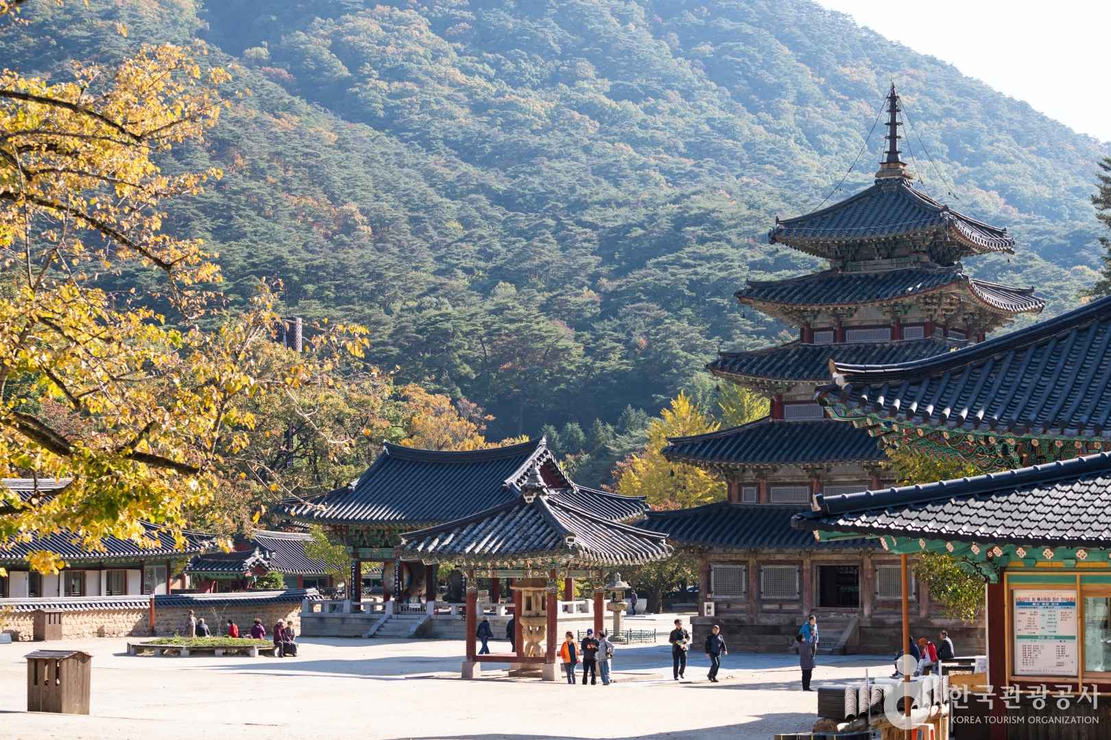 보은 법주사