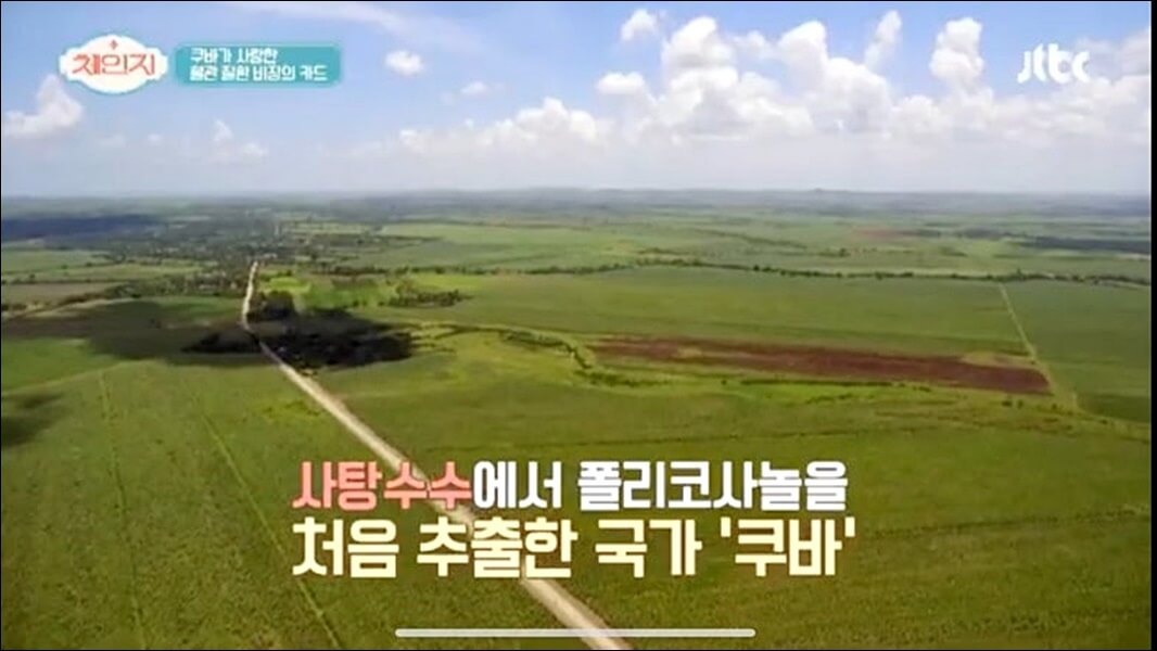 폴리코사놀 효능 부작용 총정리