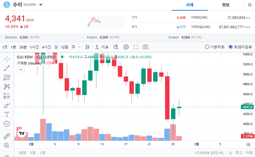 수이코인 가격 전망