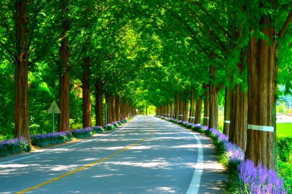 순창 가볼만한곳 베스트10