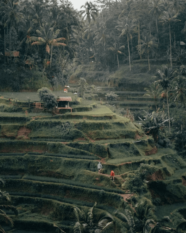 발리 자유여행: 항공권부터 완벽 숙소까지!
