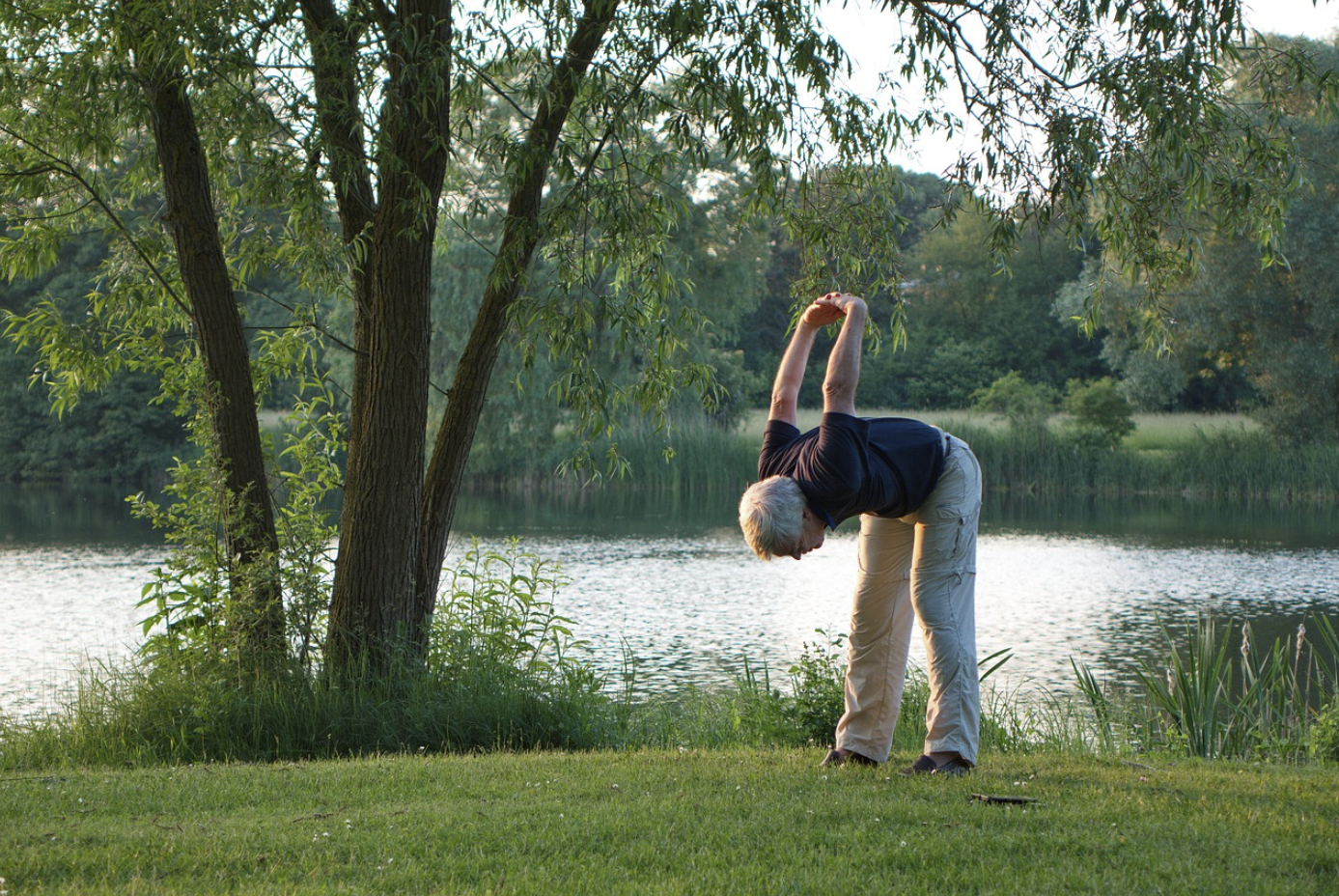콜레스테롤 낮추는 음식