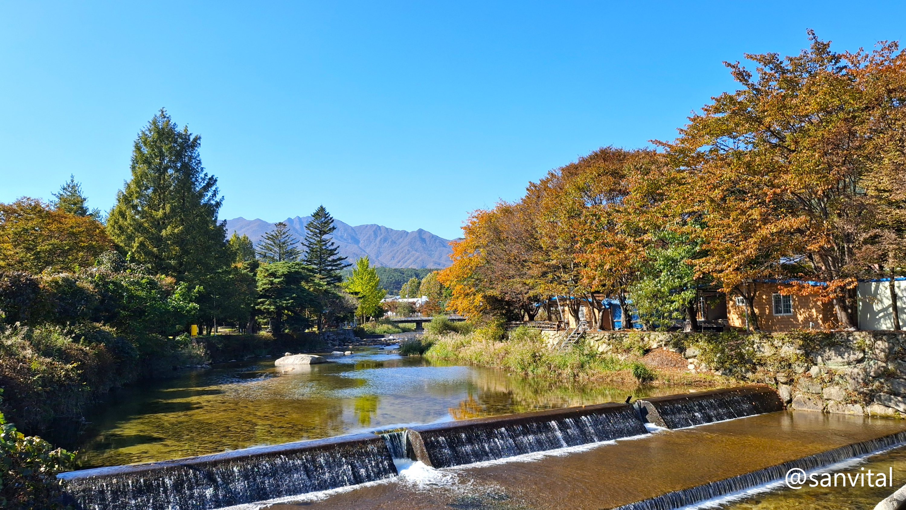 월성계곡 월성숲