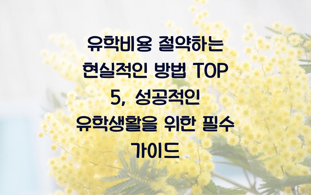 유학비용 절약하는 현실적인 방법 TOP 5 (학생 필독)