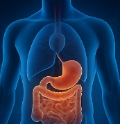 마그네슘이 풍부한 음식