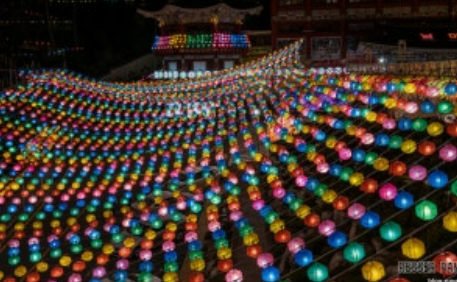 삼광사 연등축제&amp;#44; 강아지랑 밤에 가도 될까? 부산 불빛 명소 총정리!