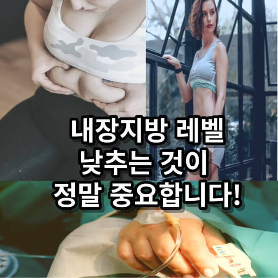 내장지방 레벨 - 내장지방 빼는법-종결판