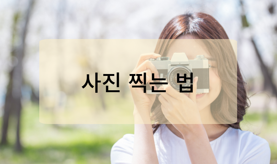 벚꽃 사진 예쁘게 찍는 법