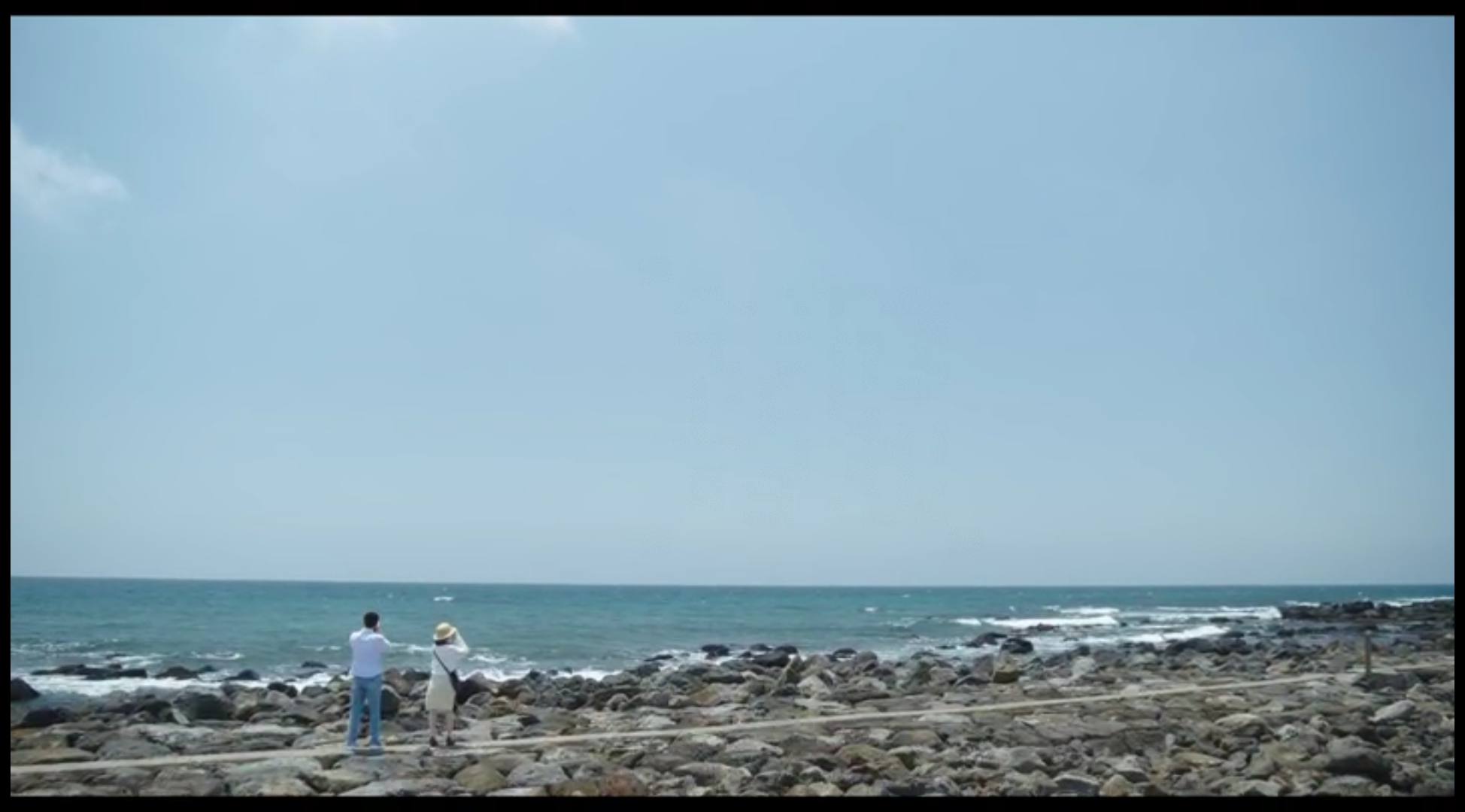 이상한 변호사 우영우 드라마 촬영지 (팽나무, 웨딩, 낙조, 제주도) 제주 돌고래 출몰지역 스팟