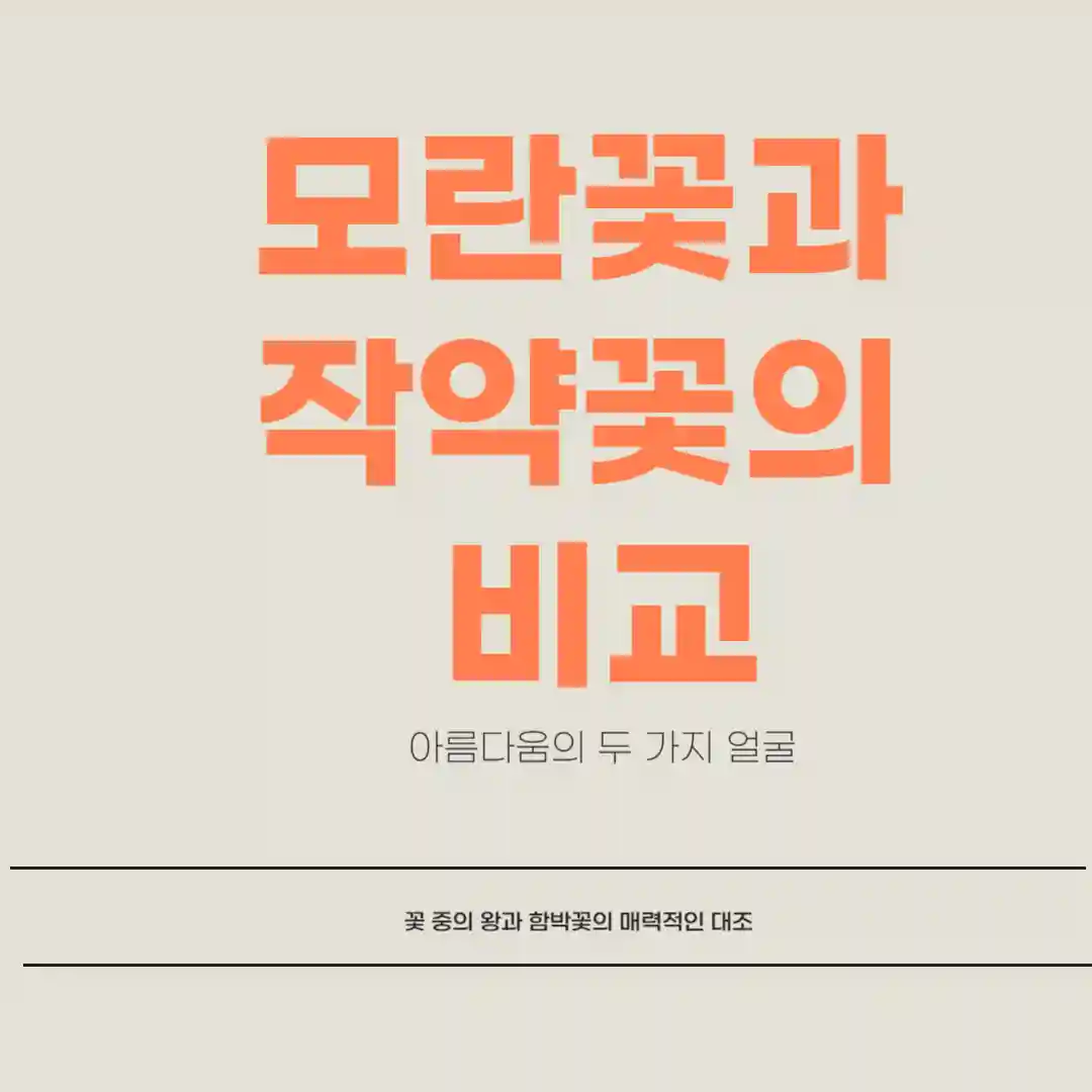 모란꽃과 작약꽃