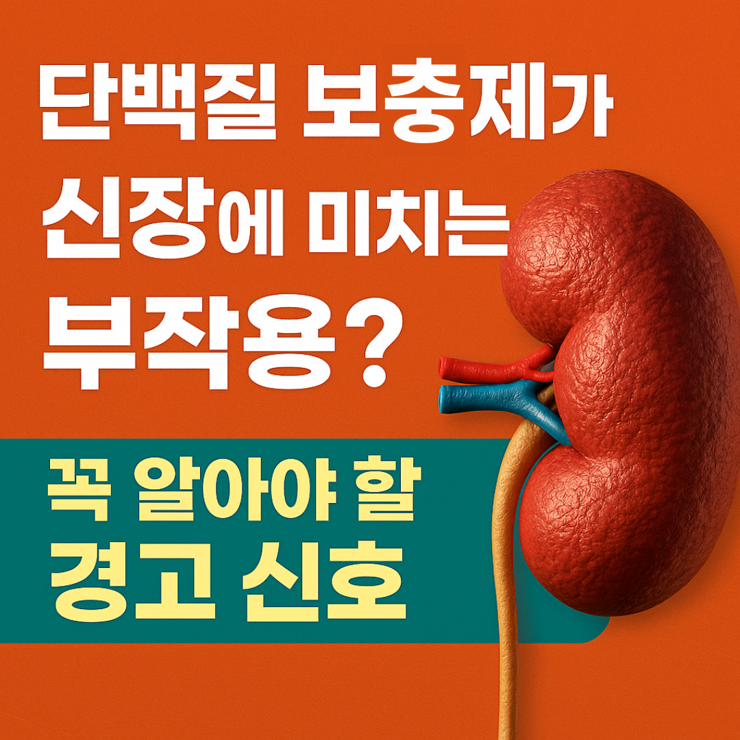 단백질 보충제가 신장에 미치는 부작용이라고 적힌 대표 이미지
