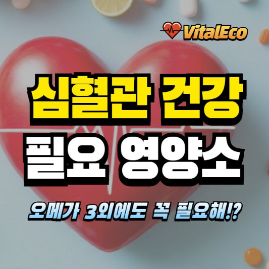 심혈관건강 영양소 알아보기