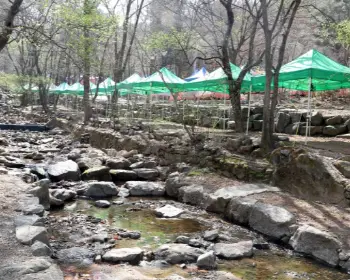 서울대공원 캠핑장_12