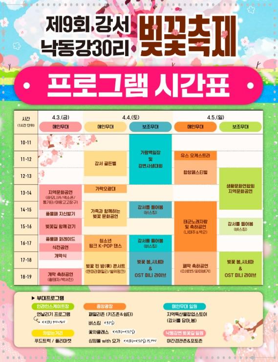 🌸 2026 강서 낙동강 30리 벚꽃축제: "낙동강변에 펼쳐진 분홍빛 터널"