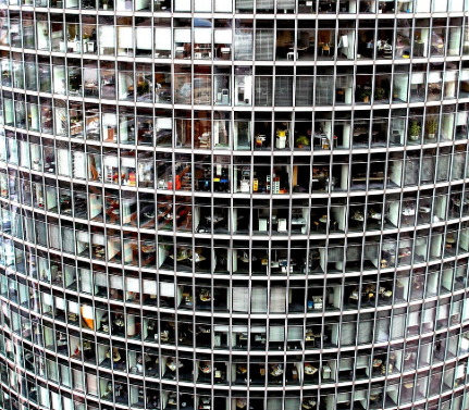 회사라는 공간의 심리학