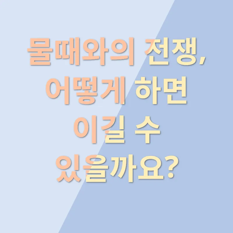물때 제거_2