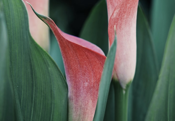 폐경 후의 올바른 운동 방법