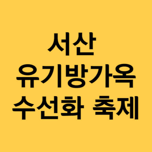 서산 유기방가옥 수선화 축제
