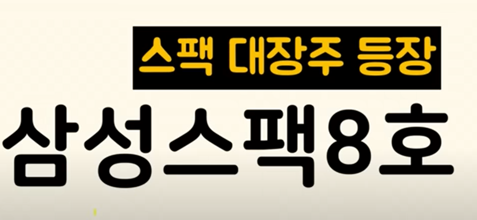 스택 대장주 삼성스팩 8호