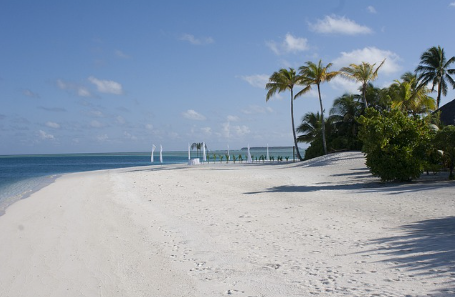 미국 최고의 반려견 친화적 해변 10곳