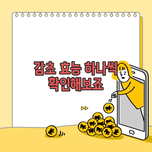 감초 효능 하나씩 확인해보죠