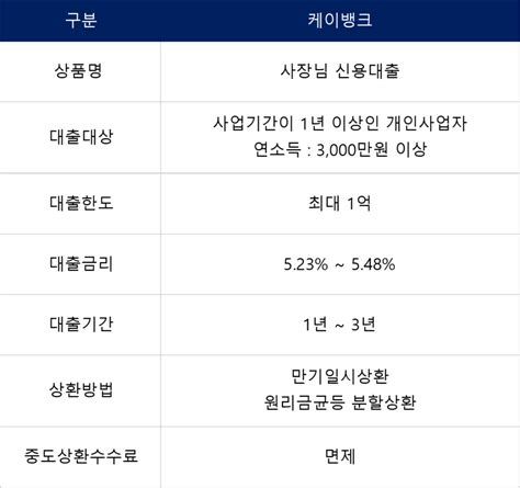 사업자 단기 대출