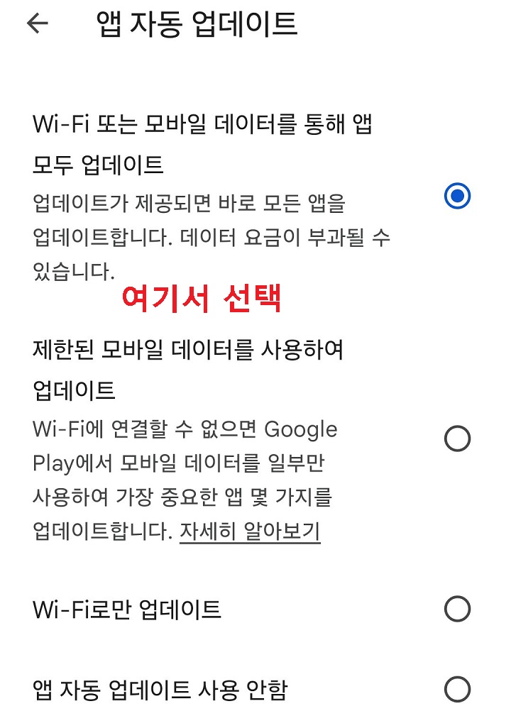 앱 자동 업데이트 설정화면 보임