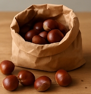 밤 보관하는 방법