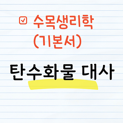 수목생리학 - 탄수화물 대사