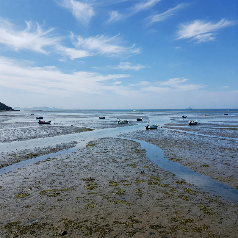 바다와 갯벌의 천국, 대부도