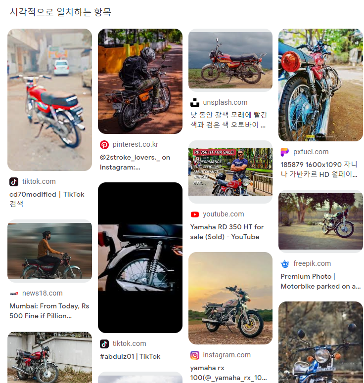 구글 이미지 검색