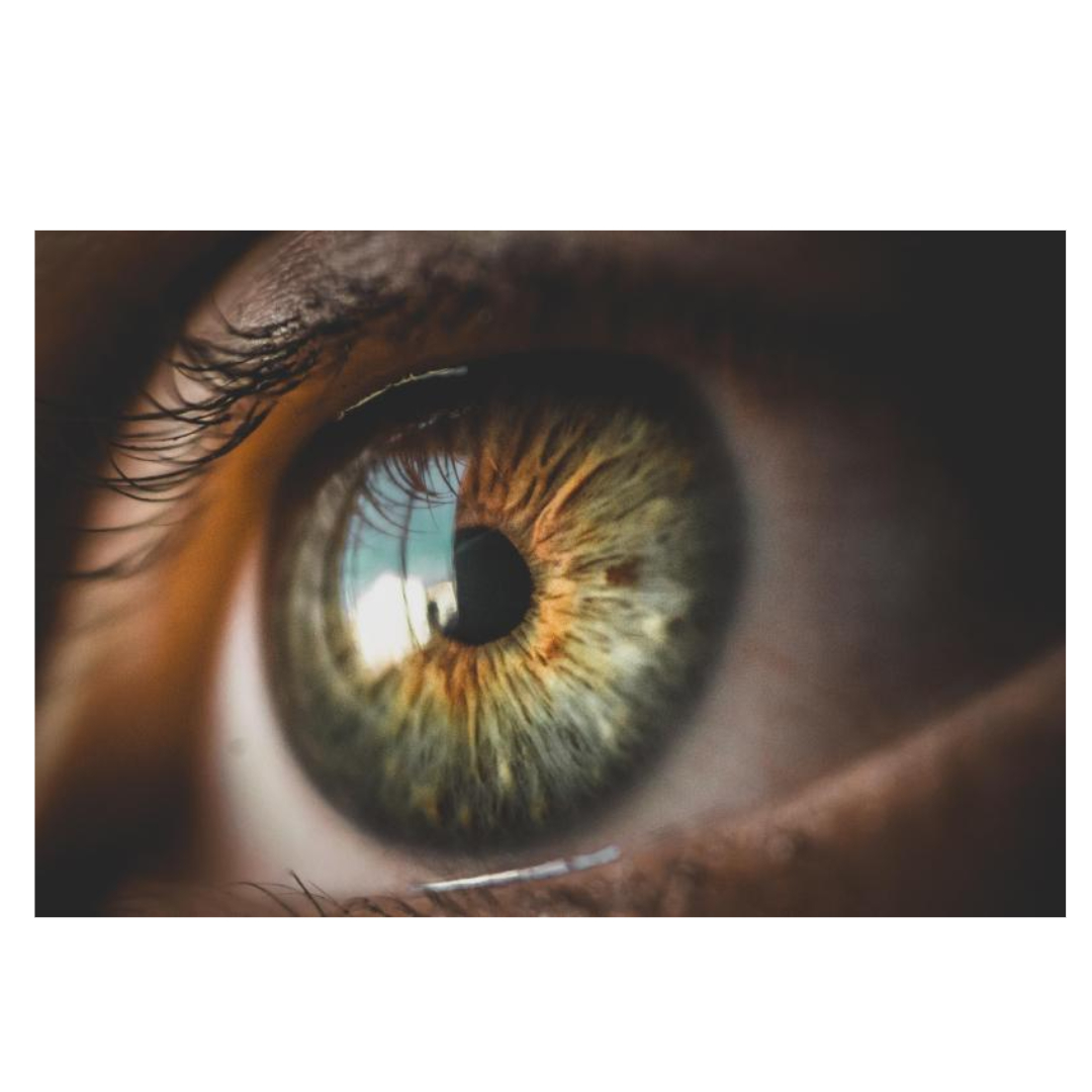 비타민C와 관련된 사진입니다.