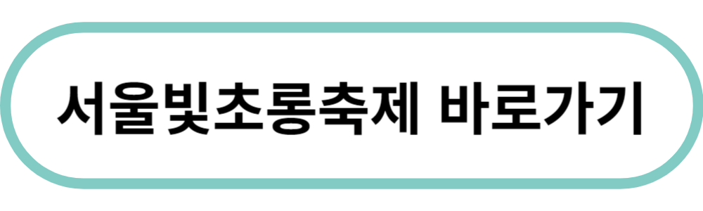 겨울축제 서울 빛초롱 축제