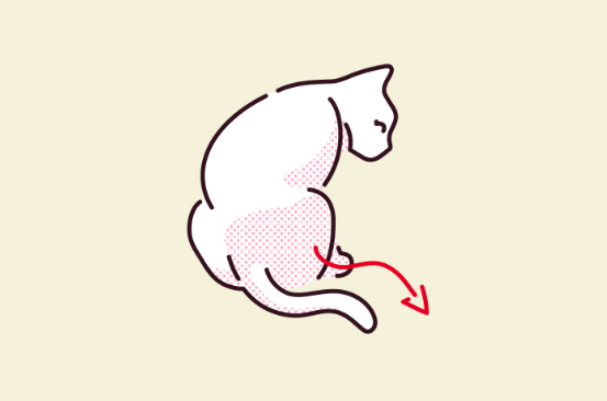 고양이가 꼬리를 꼬부라뜨리고 있는 일러스트