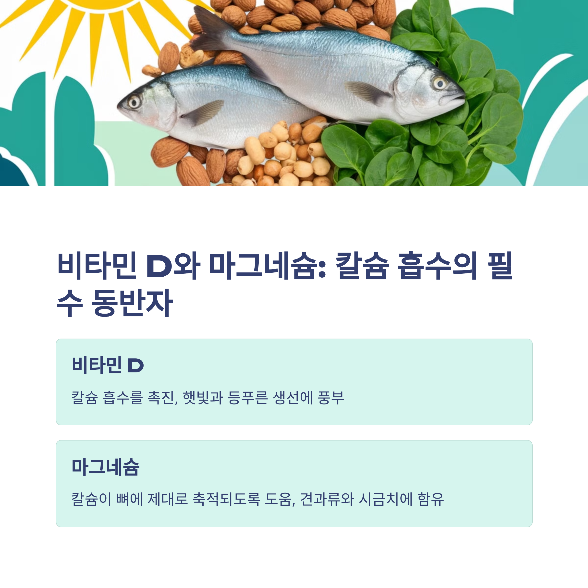 칼슘만 먹으면 안 된다? 뼈 건강을 위한 필수 영양소