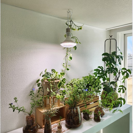 원룸 속 힐링 존